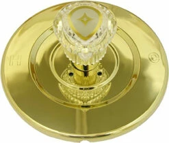 Moen Moentrol Polished Brass Faceplate With Plastic Handle